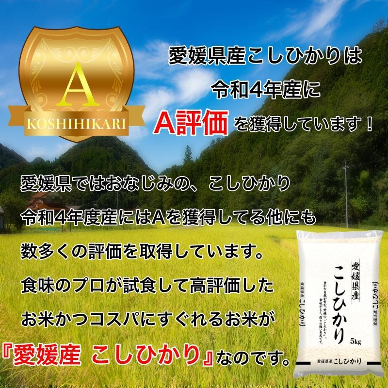 こしひかり 10kg 5kg×2 令和4年産 愛媛県産 米 お米 白米 おこめ 精米 単一原料米 ブランド米 10キロ 送料無料 国内産 国産