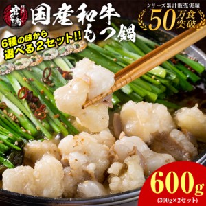 もつ鍋 もつ鍋選べる600gセット 国産和牛もつ鍋  和牛もつ300g×2 （３～４人前×2） ６種の味 もつ鍋 送料無料 もつ