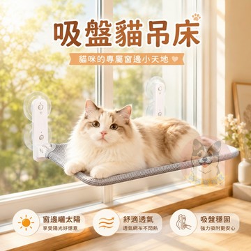吸盤貓吊床🌞 貓咪吊床 貓吊床 強力吸盤 貓床 貓曬太陽 貓咪床 貓玩具 幼貓 成貓 透氣床 貓咪陽台 貓咪吸盤床 貓窩