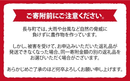 みかん 約10kg（100～120個）    長与町 ＜長崎西彼農業協同組合 長与支店＞ 温州みかん みかん10kg 温州  [EAH003]