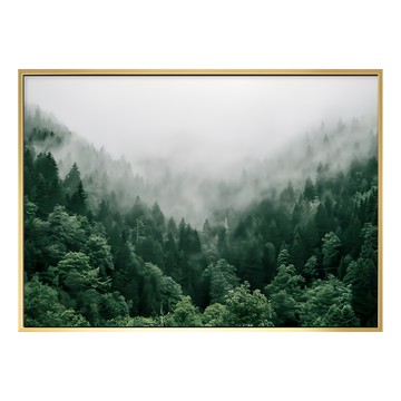 隨旅森林 金色 1個 PS環保樹脂框+油畫布+松木內框  40 x 30cm