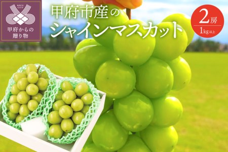 〈2024年度配送分〉甲府市産 シャインマスカット 2房（1.0kg以上）