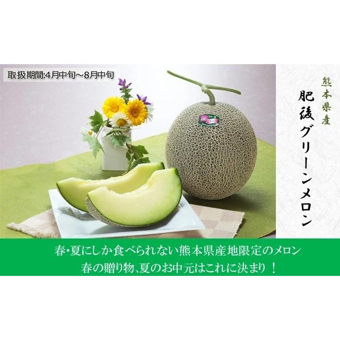 メロン マスクメロン 2玉 1.5kg×2 めろん 贈答用 果物の王様 敬老の日 ギフト 高級品 プレミアム プレゼント フルーツ お取り寄せ 記念 熨斗対応 ギフト広場