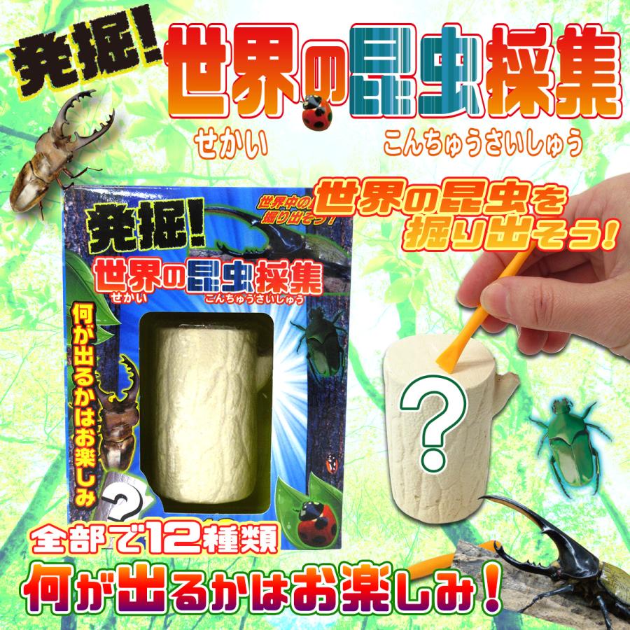 ビジュアル系　S エス ミニアルバムセット　大人？地球　昆虫採集　一年生 ビジュアル系 S エス ミニアルバムセット 大人？地球 昆虫採集