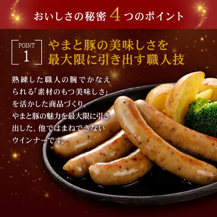 ウインナー 味付け肉 詰め合わせ ギフト 無塩せき NSG-D [冷凍] お歳暮 早割 御歳暮 2023 食品 内祝い ギフトセット 無添加 食べ物 お取り寄せ 贈り物