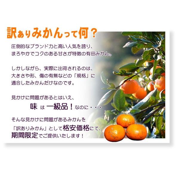 有田みかん 訳あり 10kg 和歌山県産 送料無料(北海道、沖縄県、東北地方除く) ミカン みかん 蜜柑 温州みかん ご自宅用 家庭用 果物 産地直送