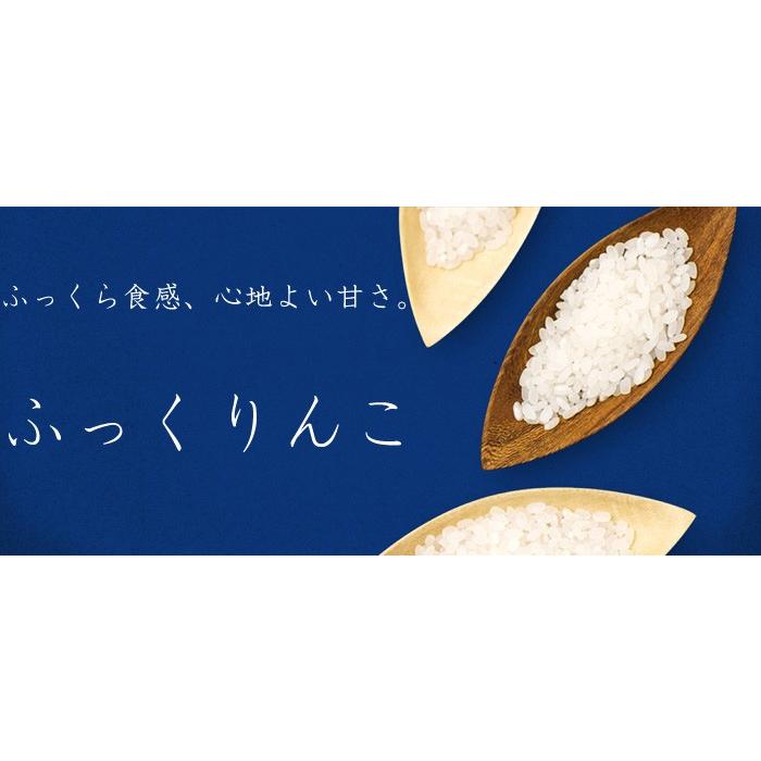 令和5年産 北海道産 ふっくりんこ 5kg お米 ライス ご飯 米 白米 おにぎり 北海道米 ふっくら 甘み