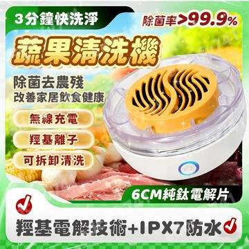 隔日到貨💥蔬果清洗機 無線便攜 食材清潔機 蔬果淨化器 家用洗菜機 水果清洗機 超聲波清洗碗機 純鈦電解片 殺菌去除農殘