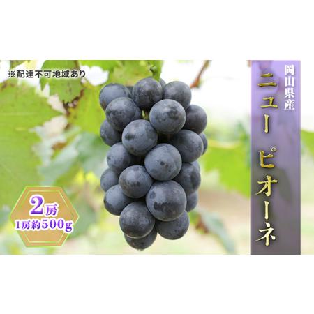 ふるさと納税 ぶどう 2024年 先行予約 ニュー ピオーネ 2房（1房約500g） ブドウ 葡萄  岡山市産 国産 フルーツ 果物 ギフト 岡山県岡山市