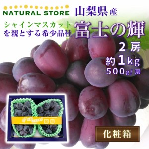 [最短順次発送]  富士の輝 2房 1kg 500g 房 大粒 ブラックシャインマスカット 山梨県 ぶどう  夏ギフト 御中元 お中元