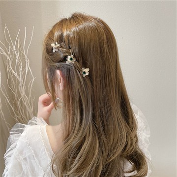 4件套迷你泫雅花朵劉海夾前額碎發小抓夾女發夾夾子側邊發卡頂夾