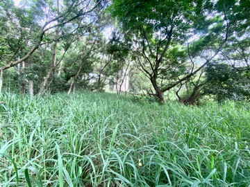 近鰲峰山運動公園都計內持分農地｜台中市清水區吳厝北段