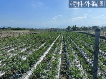 美濃下庄臨10米路都外5分農地｜高雄市美濃區吉安