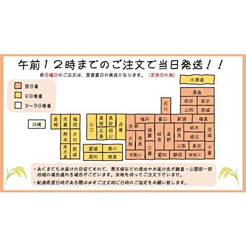 令和4年産 新潟県産 コシヒカリ 玄米 ３０ｋｇ