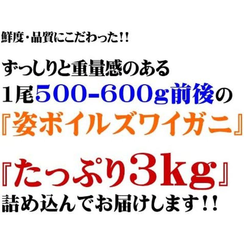 ボイル姿ズワイガニ大サイズ５ー６尾3キロ入冷凍フォーシーズン