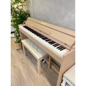 Sweetplay Dp-210 台灣 真心推薦 88鍵重錘電鋼琴 （可到府安裝）初學必備電鋼琴 [唐尼樂器]