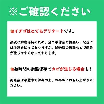 ふるさと納税 直方市 福岡産春あまおう8パック(直方市)