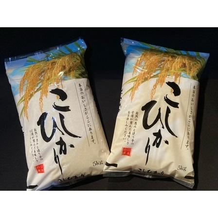 新米 こしひかり 精白米１０ｋｇ（5kg×2袋） 令和5年度宮城県産 入荷次第、順次発送