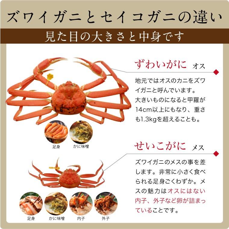 甲羅盛り セイコガニ 1個(単品) 香箱ガニ 甲羅盛 カニ 海鮮丼 せいこがに ボイル かに丼 カニ丼 ((冷凍))