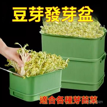 ⚡現貨+台灣倉出貨8H⚡育苗盤種植髮芽盆食品級家用豆芽機髮豆芽專用盆神器生黃綠豆芽罐