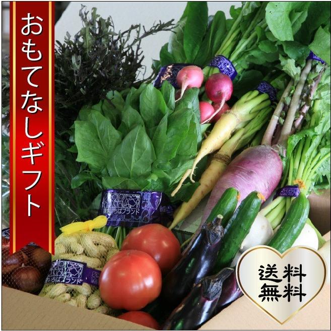おもてなしギフト　野菜セット　鎌倉青果市場からその日の野菜をお届け　鎌倉いちばブランド野菜セット