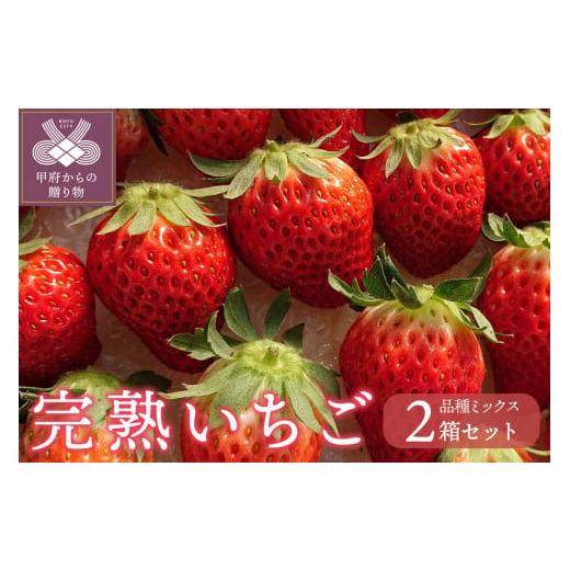 ふるさと納税 山梨県 甲府市 いちご (品種ミックス)