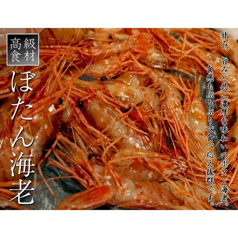 ボタンエビ 牡丹海老 刺身用 大サイズ 冷凍 ぼたん海老 メス 約500g