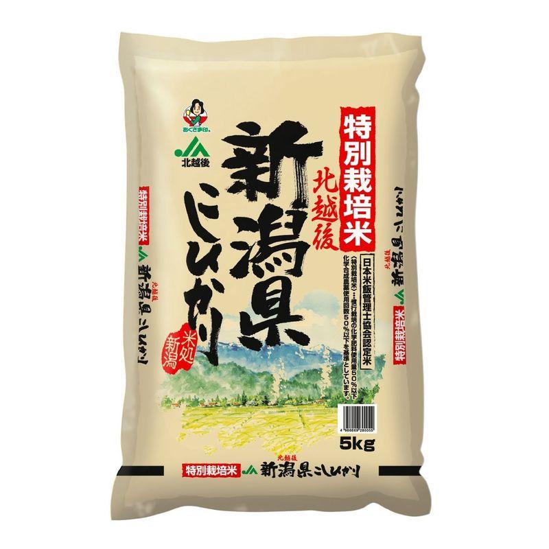 精米新潟県北越後産 特別栽培米白米 こしひかり 5kg 令和4年産