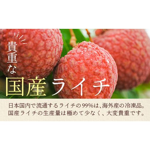 ふるさと納税 宮崎県 新富町 ＜限定100セット＞宮崎県産 生ライチ「至高の紅玉」500g