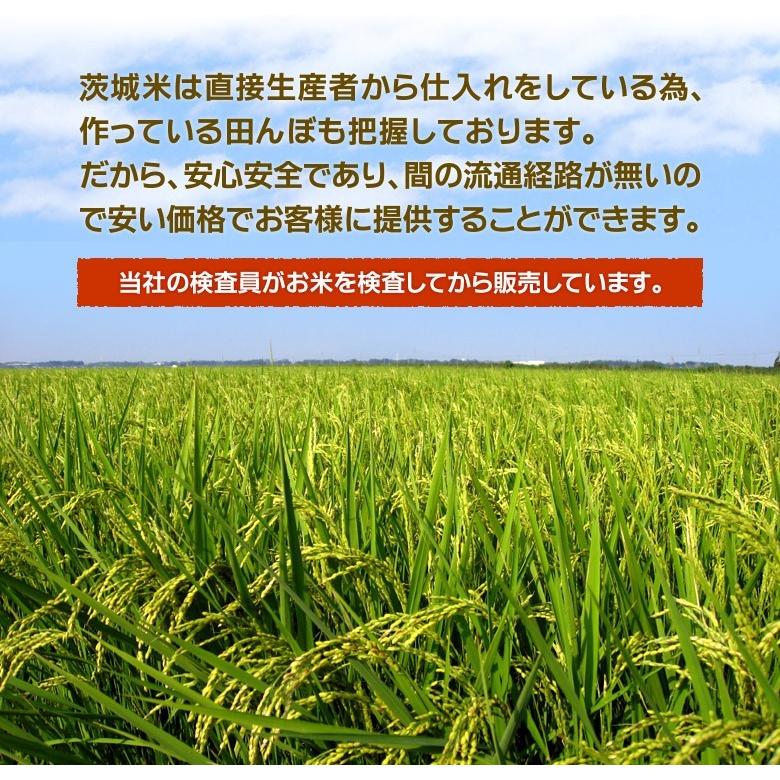 新米 米 お米 ひとめぼれ 茨城県産 5年産 白米 5kg 送料無料 一部地域除く