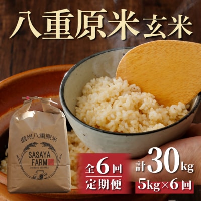 八重原米 玄米 5kg (5kg×1袋) - 米,ごはん