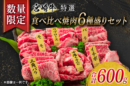 数量限定≪特選≫宮崎牛食べ比べ焼肉6種盛りセット(合計600g)　 肉　牛　牛肉 EB6-21