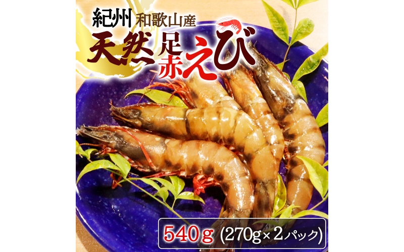 紀州和歌山産天然足赤えび540g（270g×2パック）化粧箱入 ※2023年11月上旬～2024年2月下旬頃順次発送予定（お届け日指定不可）