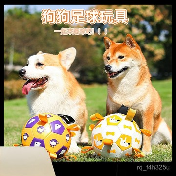 [24時熱賣]寵物玩具 自嗨解悶玩具 逗貓棒狗狗戶外互動足球玩具寵物狗訓練玩具球磨牙耐咬自嗨寵物狗玩具 X5WC