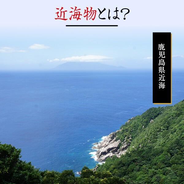 近海物 本枯節 花かつお 50g   鰹節 削り 削り節 かつお節