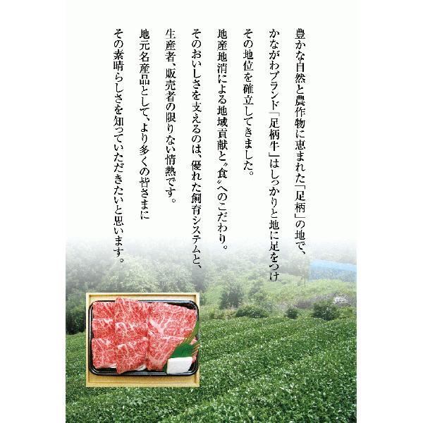 足柄牛しゃぶしゃぶ用モモ500g 国産牛 牛モモ すき焼き セット バーベキュー BBQ bbq ブランド 牛 肉 牛肉  国産 ギフト 父の日 母の日