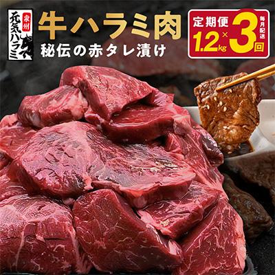 ふるさと納税 泉佐野市 牛ハラミ 1.2kg タレ漬け 秘伝の赤タレ 小分け 300g×4 全3回