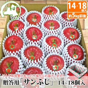 贈答用青森県産サンふじ約5kg前後 14個～18個入　送料無料　青森 りんご　お歳暮 贈答 青森 通販 青森りんご 贈答用 5kg