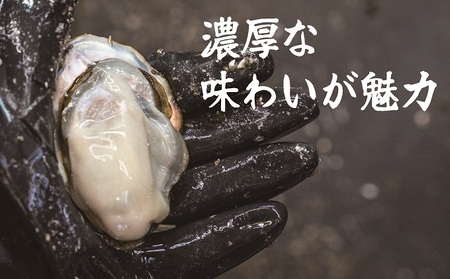  ハマミツ海産　生牡蠣むき身（加熱調理用）