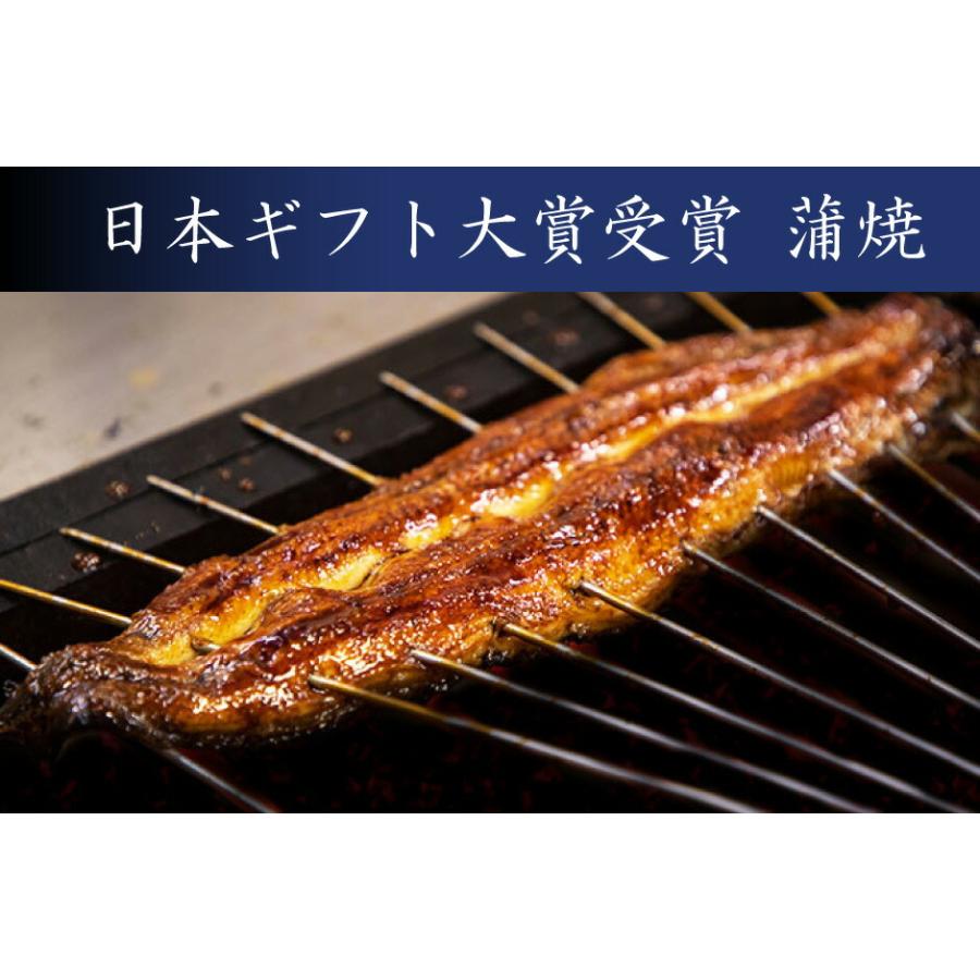 国産 うなぎの蒲焼 二本セット うなぎの新甫