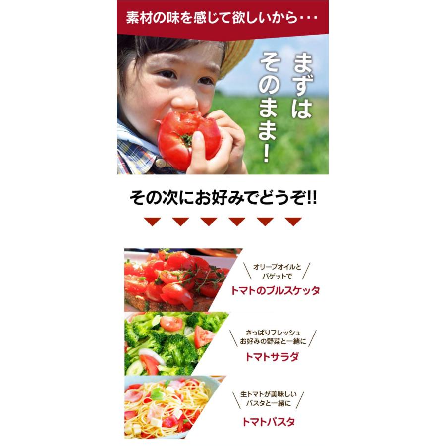 熊本産 塩トマト フルーツトマト 1kg 9〜12玉 送料無料 甘いトマト ＜12月中旬より出荷予定＞ 塩とまと 高糖度 農家直送 大嶌屋（おおしまや）