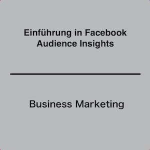 Einführung in Facebook Audience Insights