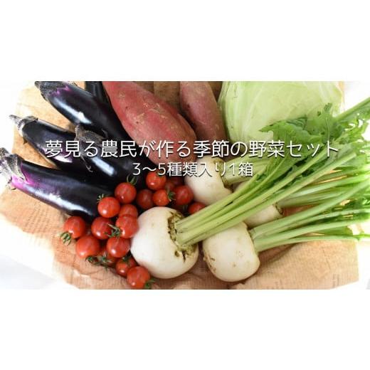 ふるさと納税 茨城県 行方市 CN-5 夢見る農民が作る季節の野菜セット　3〜5種類入り1箱