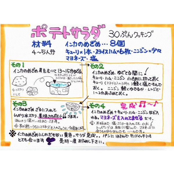 インカのめざめ 3kg 新じゃがいも 北海道産 ジャガイモ 送料無料