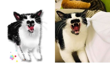 電繪-客製寵物貓狗畫像委託肖像畫 毛孩紀念似顏繪(貓咪喵/賓士貓