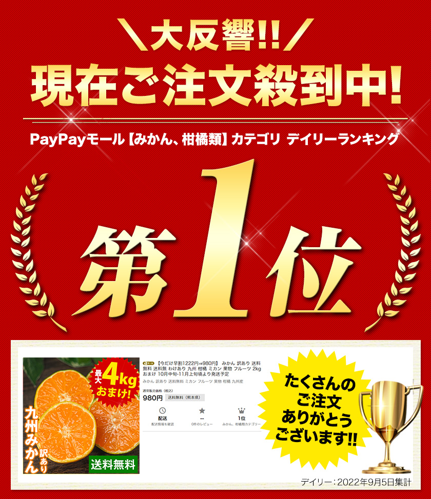 みかん 訳あり 送料無料 2セット購入で1セットおまけ 1セット1.5kg入 お取り寄せフルーツ 柑橘類 ミカン わけあり 九州産 7-14営業日以内に出荷予定