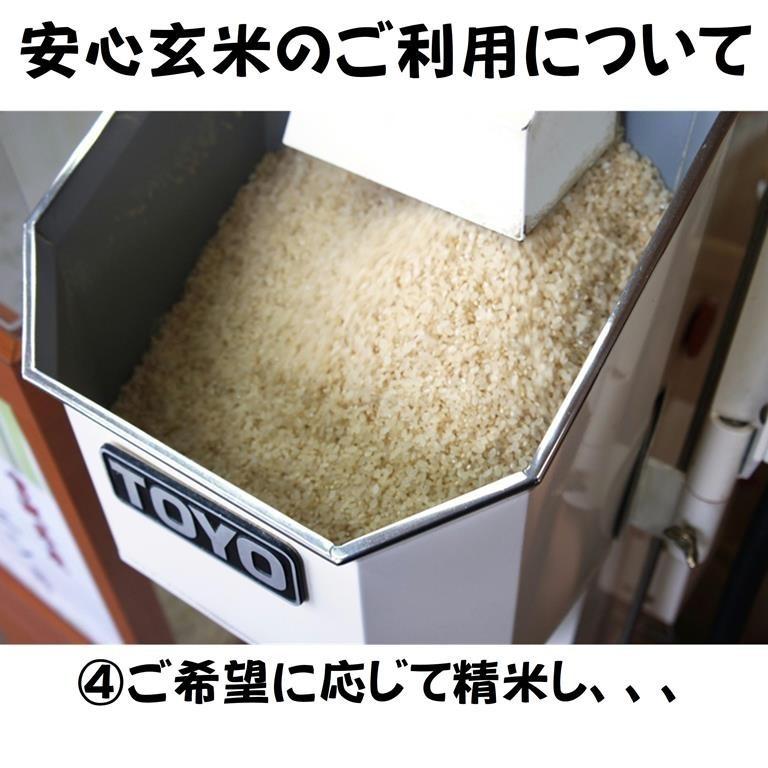 新米令和5年産 仁多米『大峠源流米』玄米1kg　島根県仁多郡奥出雲町大馬木大峠　◎1kg単位での小分け精米無料・分づき米対応◎受注後に計量・精米