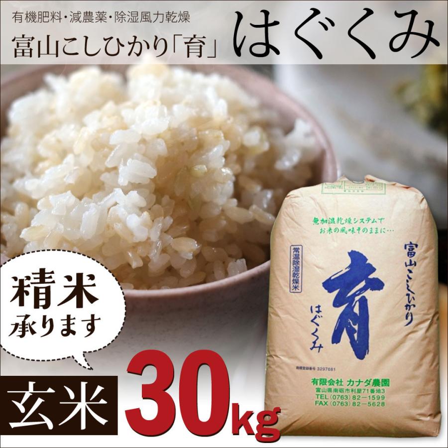 令和5年度産 こしひかり コシヒカリ 玄米 富山県産 30kg カナダ農園