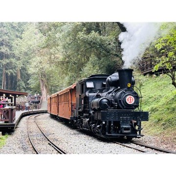 暑期限定．福森蒸汽火車．雲端仙境森心療癒．阿里山英迪格二日-25FRIDG04