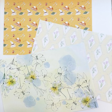 限量販售｜套組 B